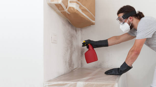 Professional Mold Remediation technician working in Hamilton, TX
