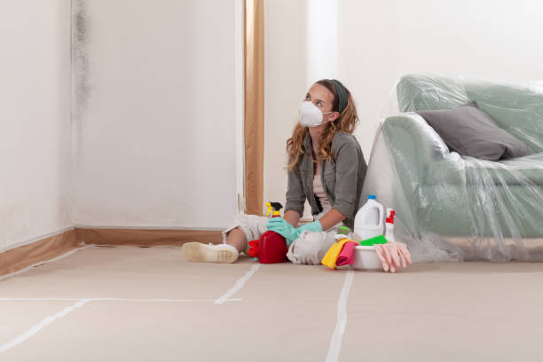 Reliable Mold Remediation contractor in Hamilton, TX by Mold Remediation HQ